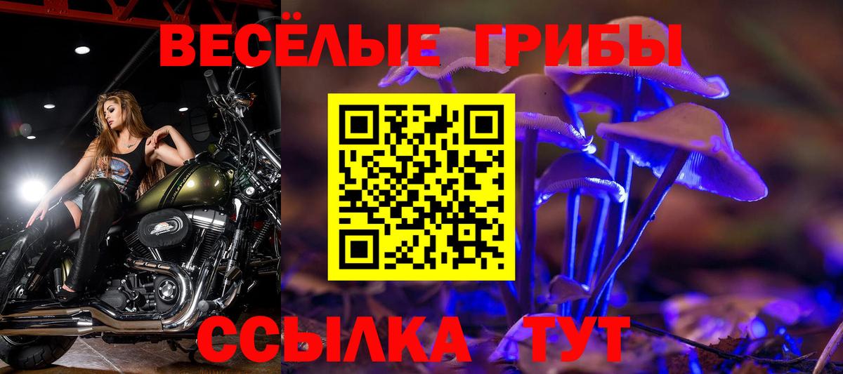 Псилоцибиновые грибы MAGIC MUSHROOMS  Вход с VPN  Новоалександровск 