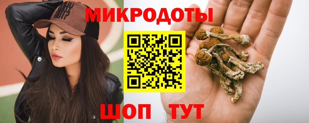 Галлюциногенные грибы мухоморы Новоалександровск